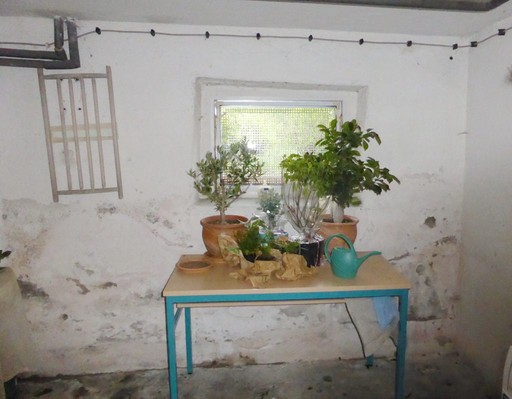 Bauwerkstrockenlegung: Wir entfernen Feuchtigkeit dauerhaft aus Kellerwänden und Mauerwerk.